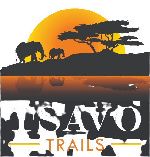 Tsavo Trails Safaris